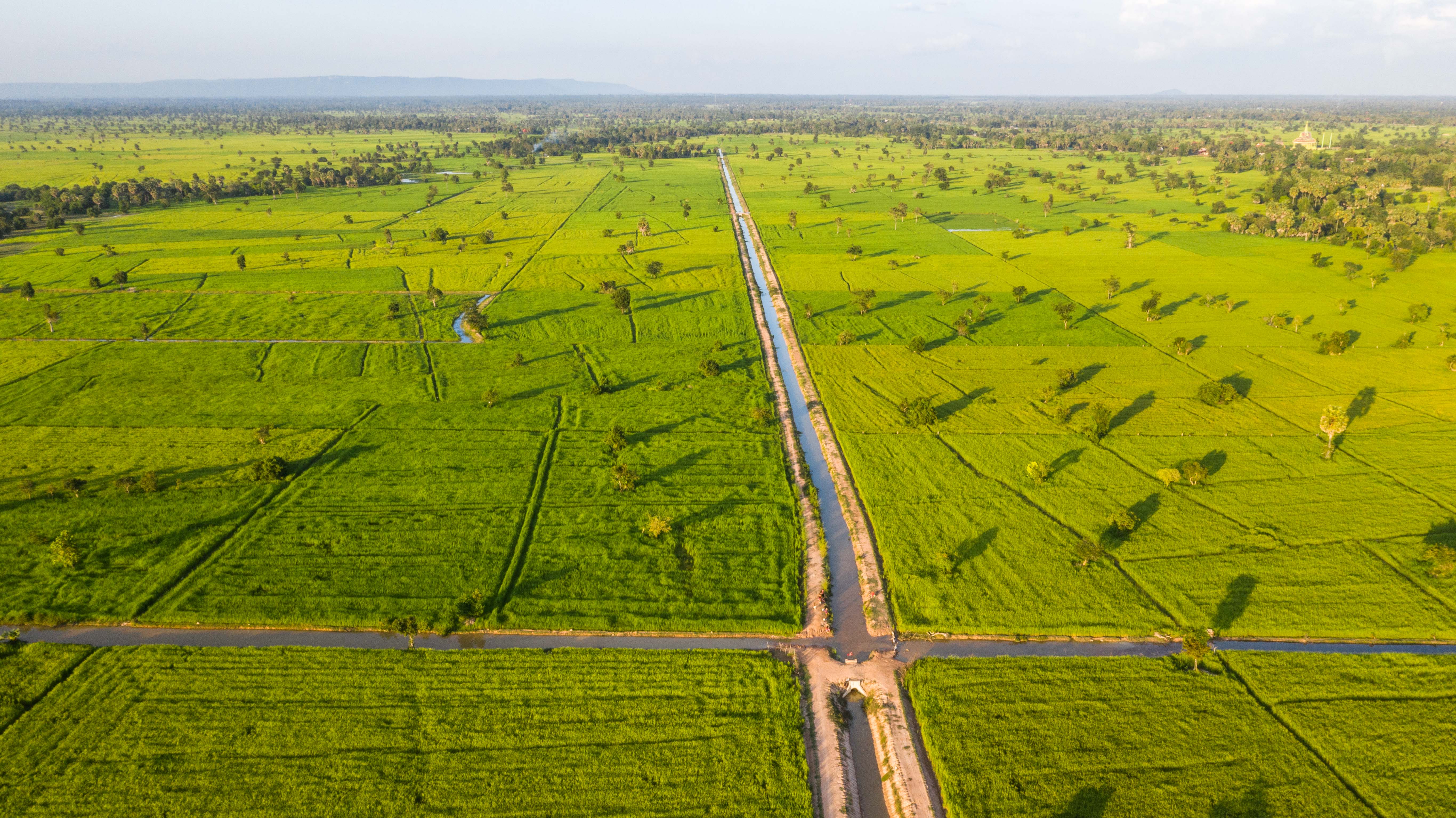 Cambodia green fields with waterways
