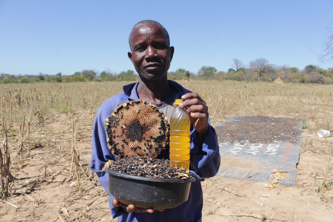 beekeeping in Zambia