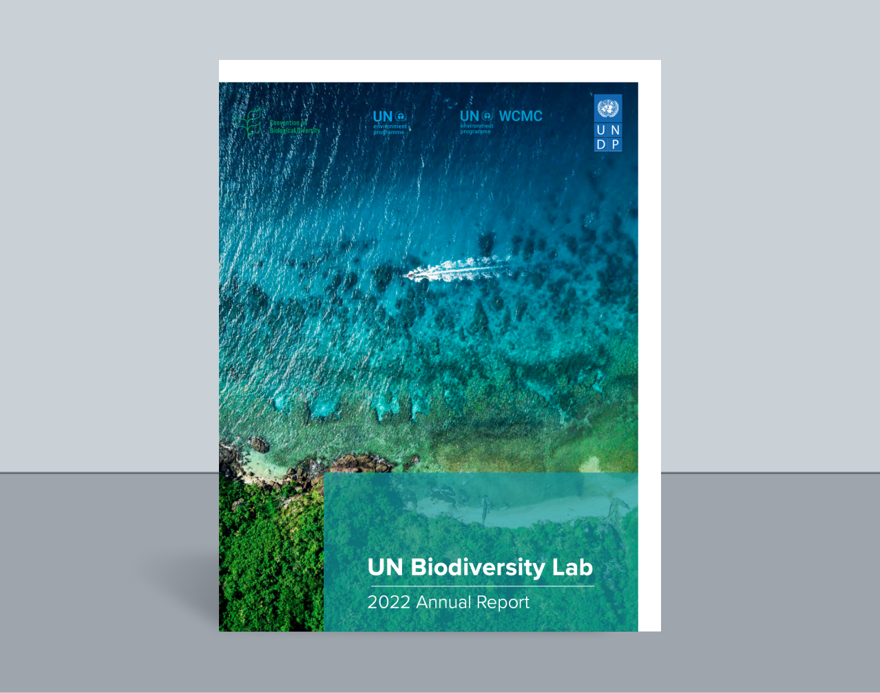 Publication Cover