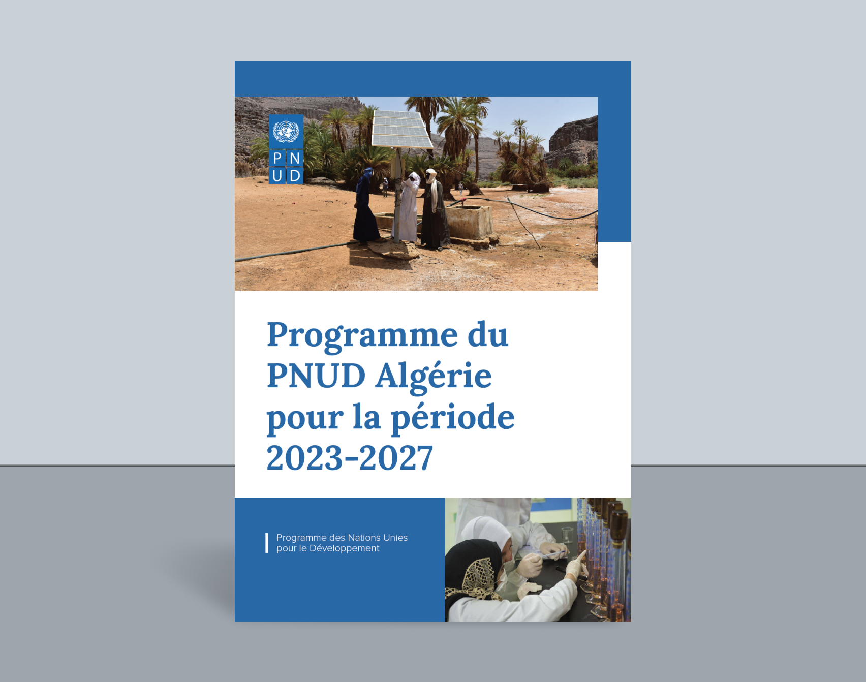 UNDP Brochure